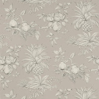 Boussac Dandy Black Wallpaper W4764006