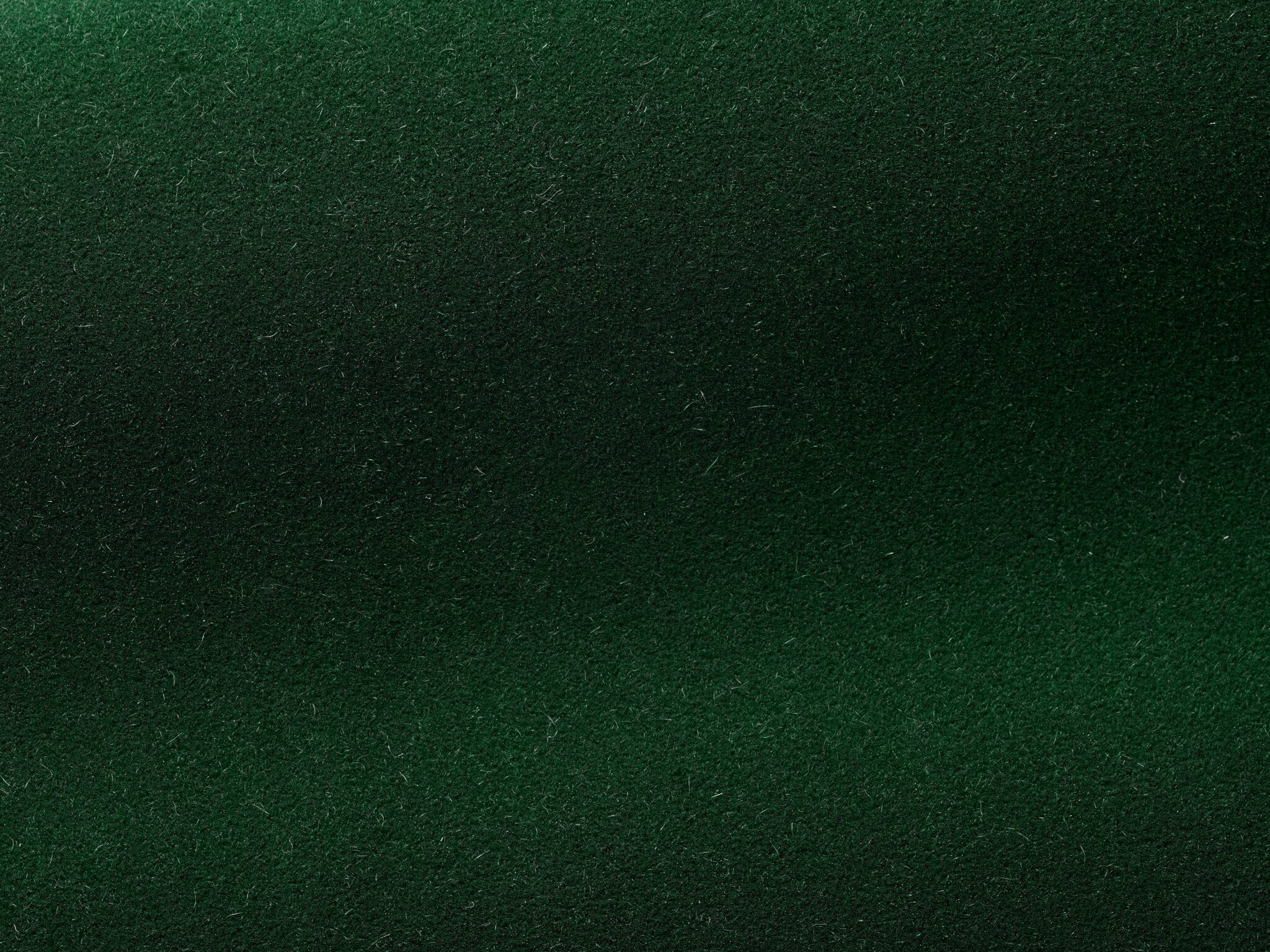 Pierre Frey Bold Forest Fabric Sample F3212008