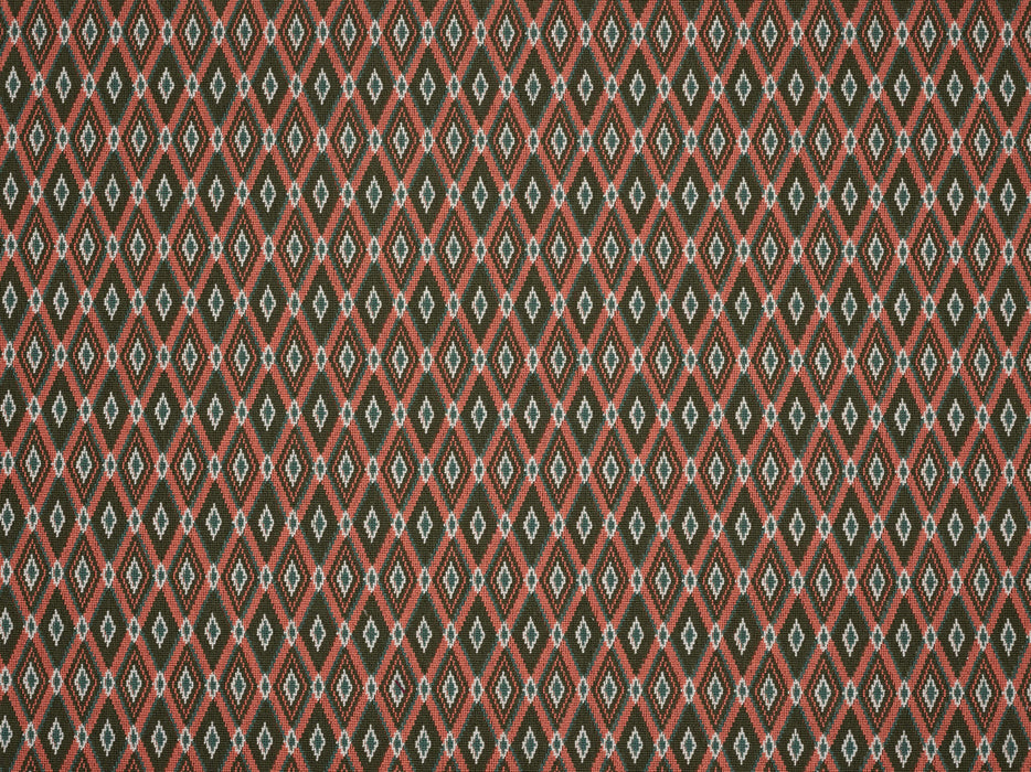 Braquenie Aristote Goyave Fabric Sample B7641003