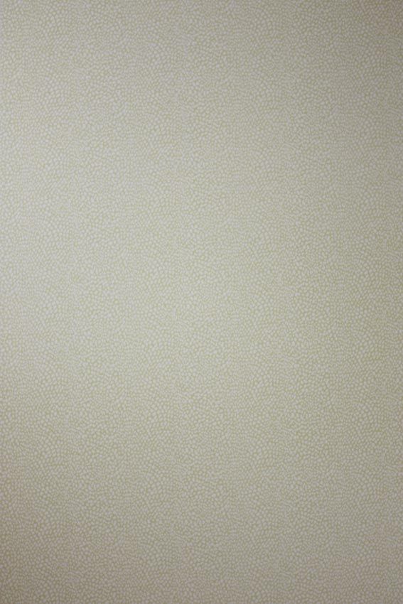 Osborne & Little Oriole 4 Sample Sample W6491-04