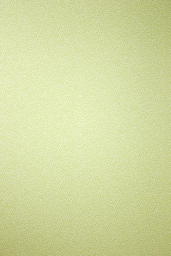 Osborne & Little Oriole 5 Sample Sample W6491-05