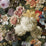 Osborne & Little Fullerton  2 Sample Sample W7454-02