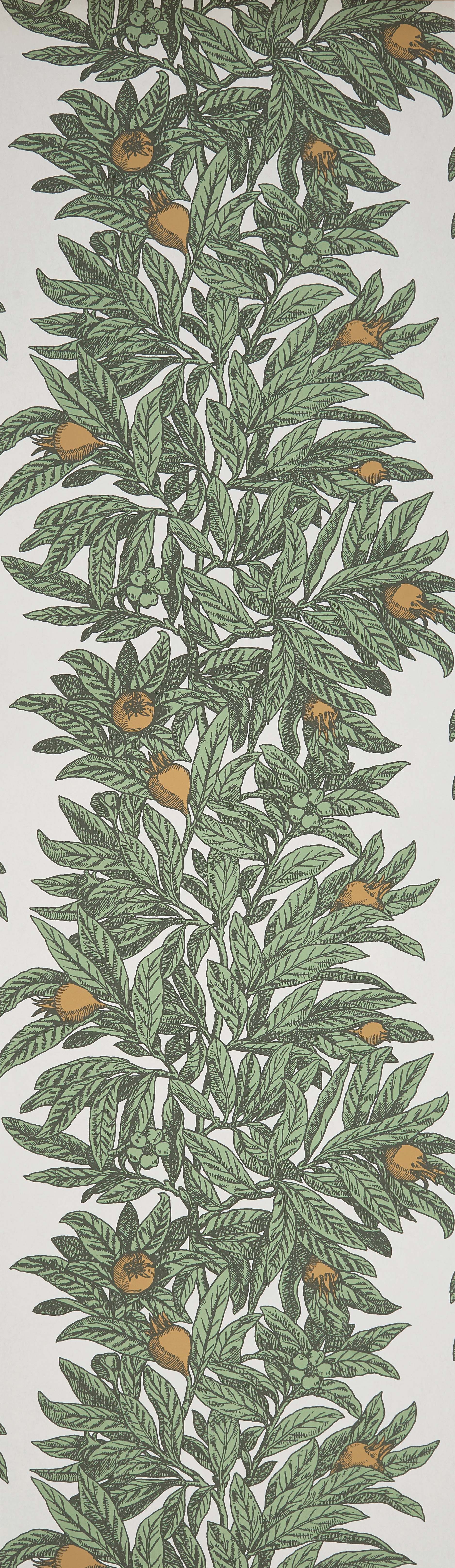 Osborne & Little Medlar 4 Sample Sample W7458-04