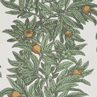 Osborne & Little Medlar 04 Wallpaper W7458-04