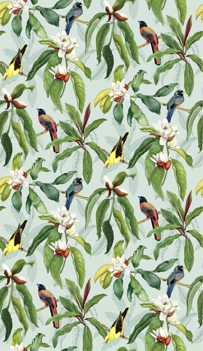 Osborne & Little Michelia 4 Sample Sample W7612-04