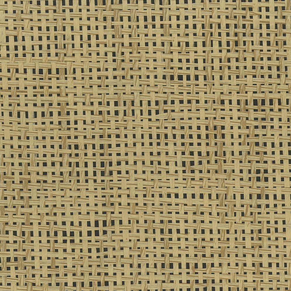 Osborne & Little Papyrus 4 Sample Sample W7930-04
