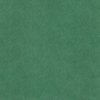 Osborne & Little Margay 2 Wallpaper W7970-02