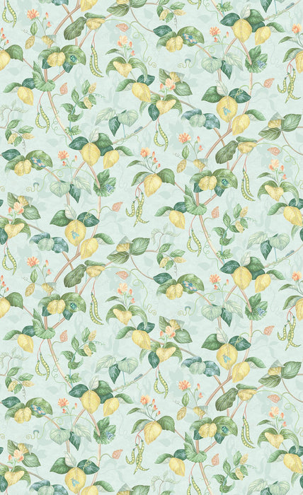 Osborne & Little Cupani Aqua Wallpaper Sample W8122-02