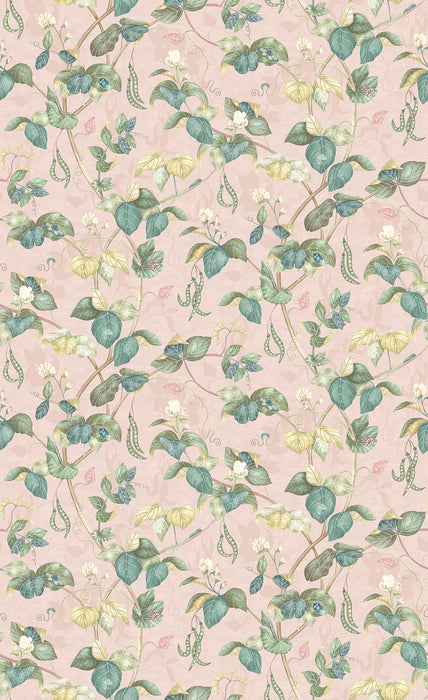 Osborne & Little Cupani Blush Wallpaper Sample W8122-03