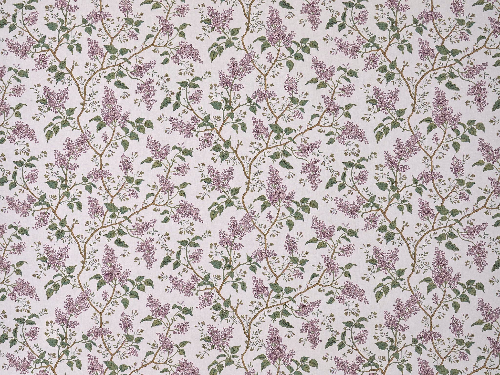 Braquenie Les Lilas Parme Fabric Sample B7678003
