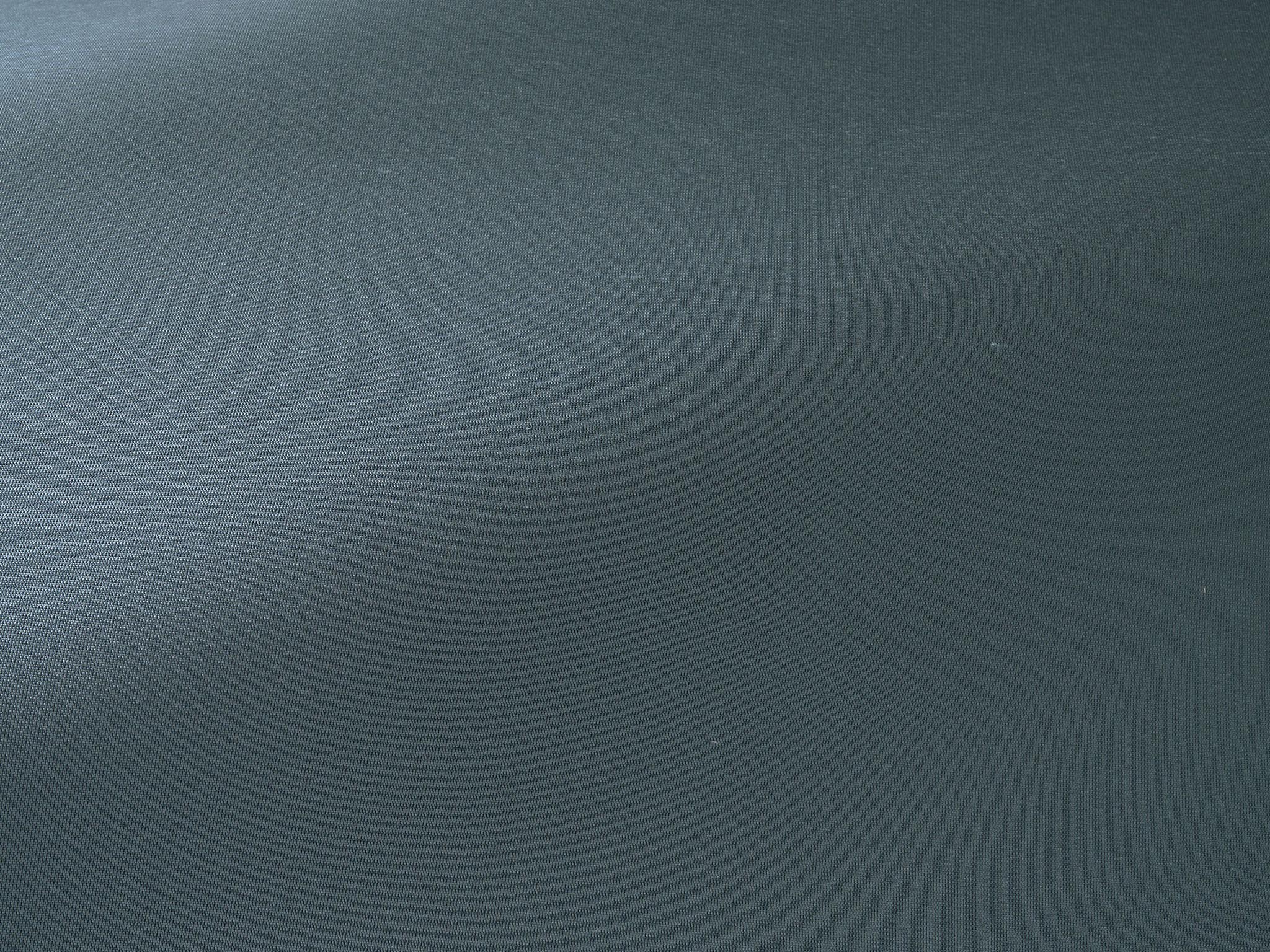 Pierre Frey Anet Ciel Fabric Sample F3756024