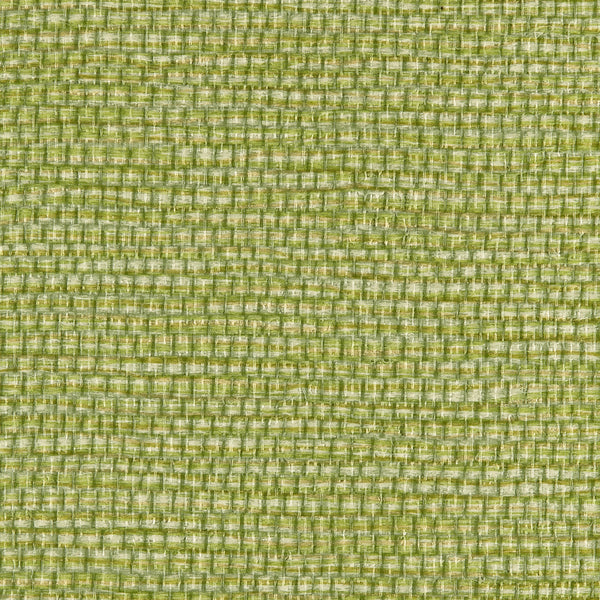 Winfield Thybony Panama Envy Wallpaper Sample WPW1146.WT.0