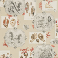 Pierre Frey Aquarius Sand Wallpaper FP193002