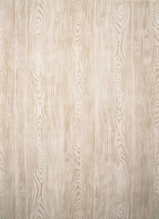 Pierre Frey Boiserie Corde Wallpaper Sample FP219001