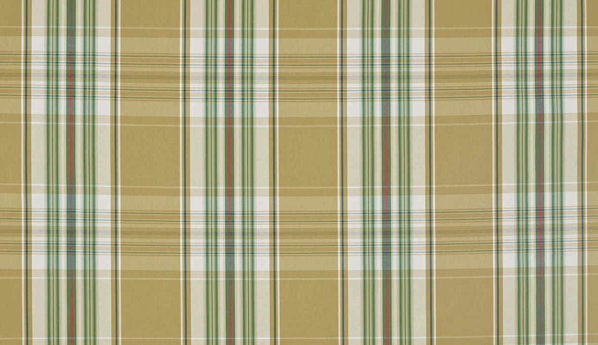 Braquenie Cesarine Lichen Fabric Sample B7629001