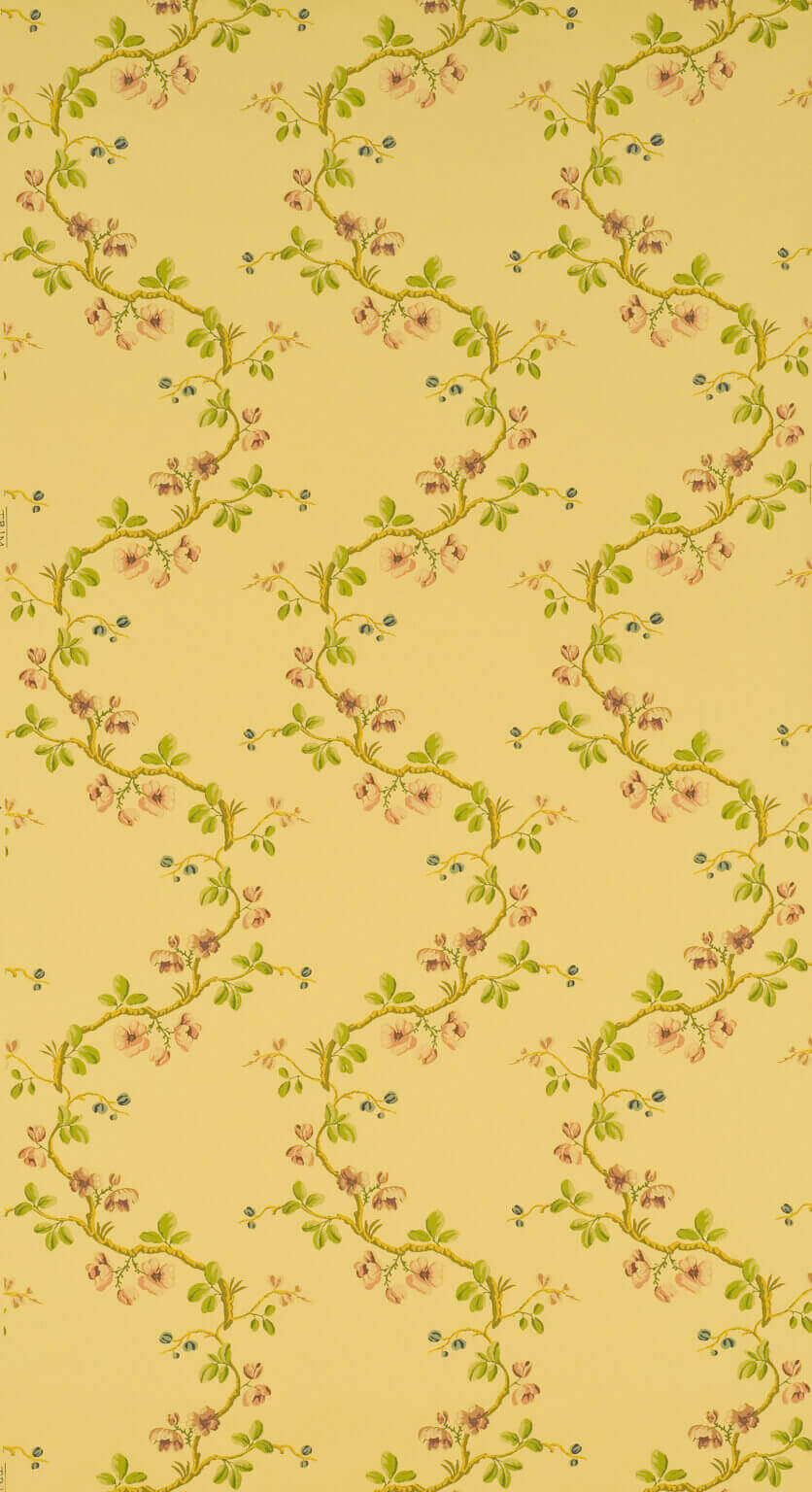 Pierre Frey Sans Papillons Jaune Wallpaper FP168002