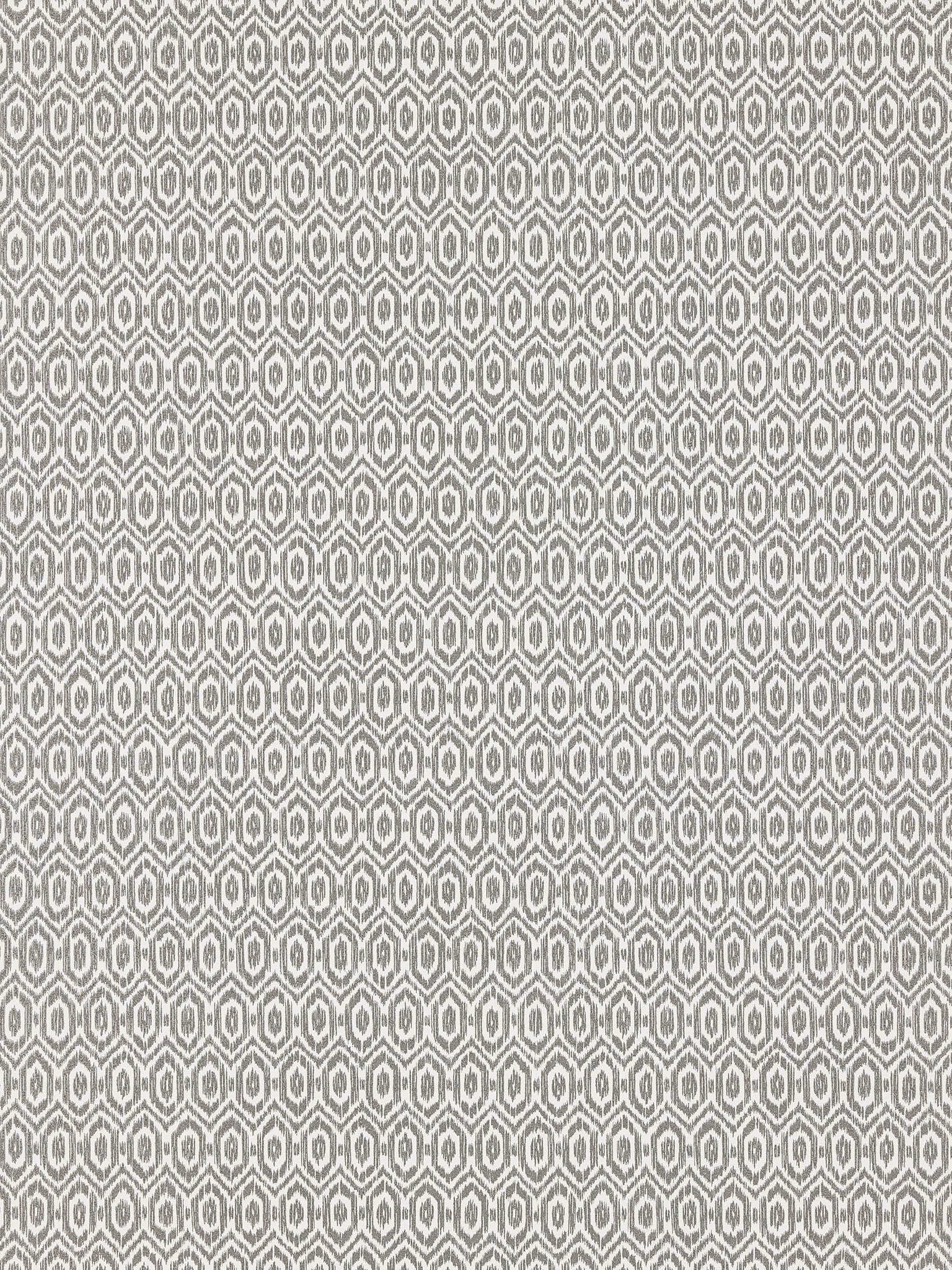 Pierre Frey Amala Noir Wallpaper Sample FP765005