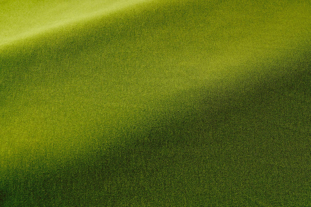 Pierre Frey Gabriel Pistache Fabric Sample F4065020