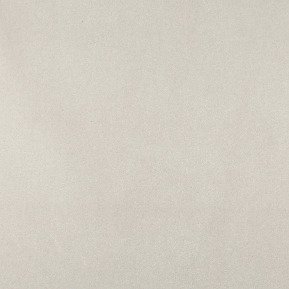 Charlotte  Fabric Sample 10000-01