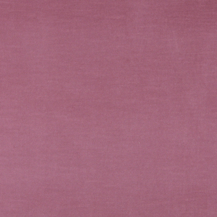 Charlotte  Fabric Sample 10001-02