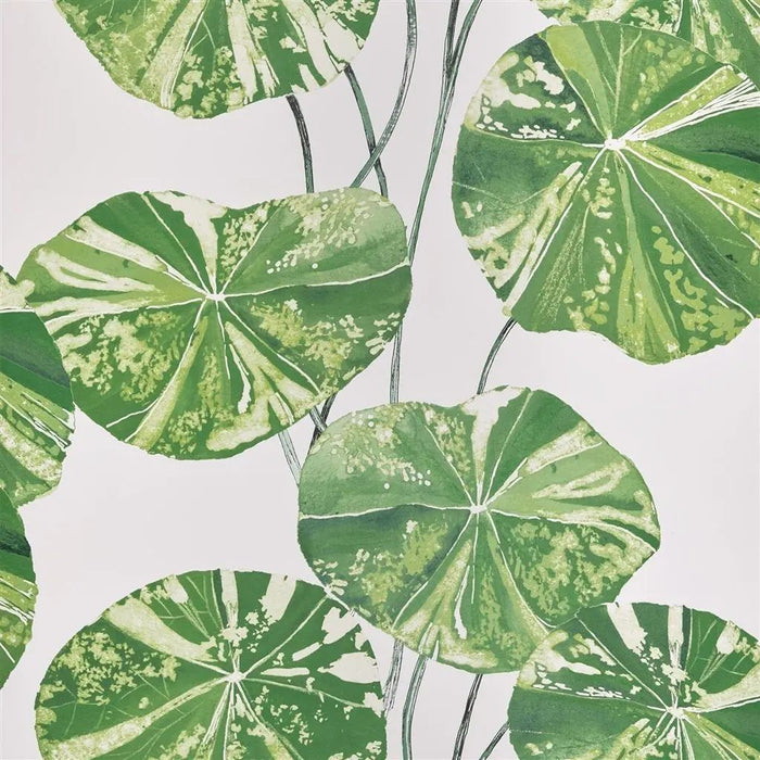 Designers Guild Brahmi 1 Wallpaper PDG1061-01