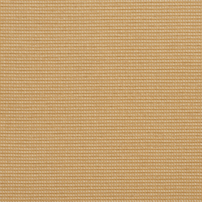 Charlotte  Fabric Sample 10600-01