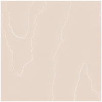 Cole & Son Watered Silk Salmon Wallpaper 106/1007.CS.0