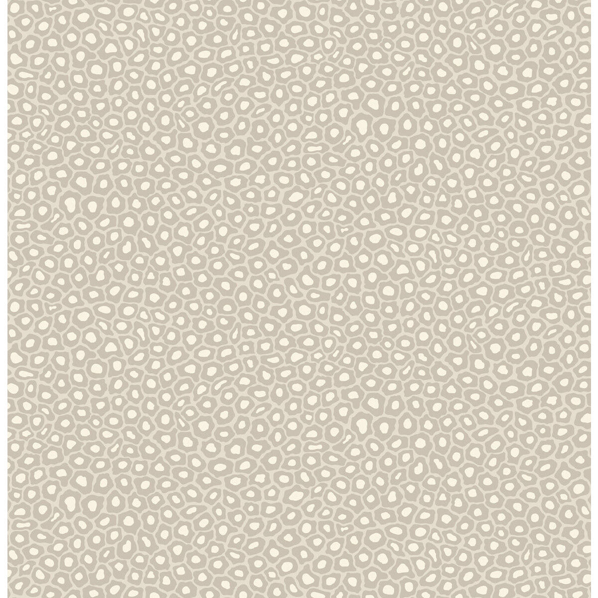 Cole & Son Senzo Spot Stone & White Wallpaper 109/6030.CS.0