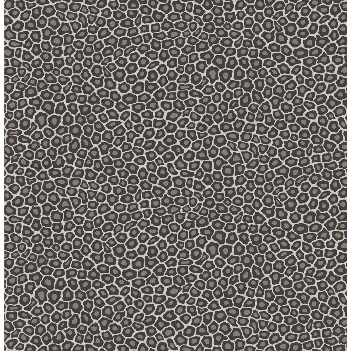 Cole & Son Senzo Spot Black & White Wallpaper 109/6031.CS.0