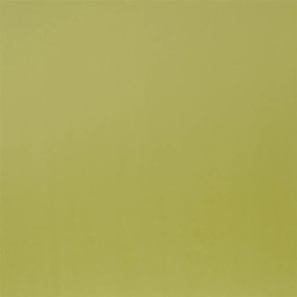 Designers Guild Patia 40 Fabric F1649-40
