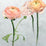 Designers Guild Tourangelle Scene 1 Panel  1 Wallpaper PDG1099-01