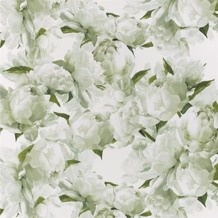 Designers Guild Peonia 3 Wallpaper PDG1094-03
