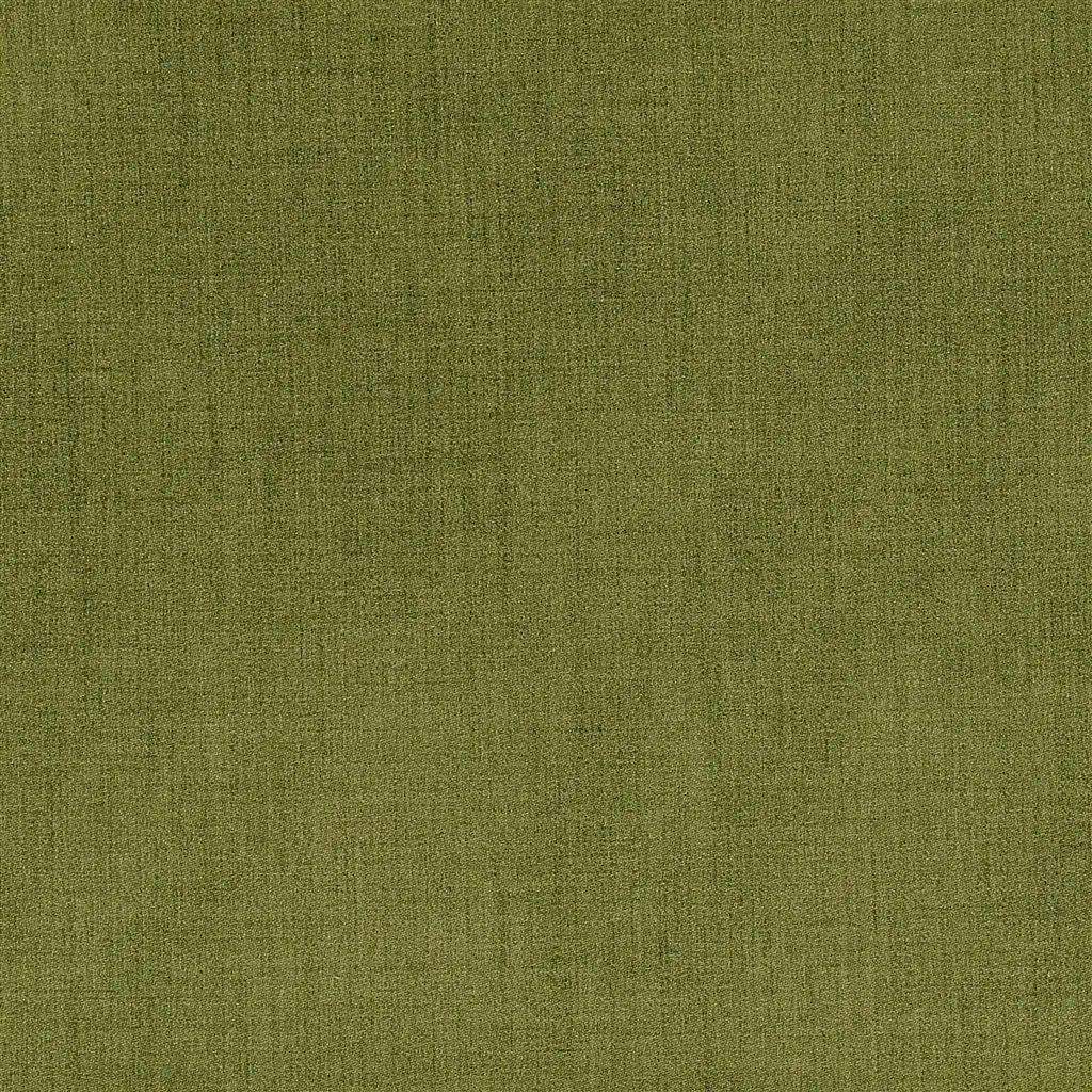 Designers Guild Fortezza 17 Fabric FDG2864-17