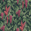 Cole & Son Woodvale Orchard Ruby/Ch Wallpaper 116/5020.CS.0