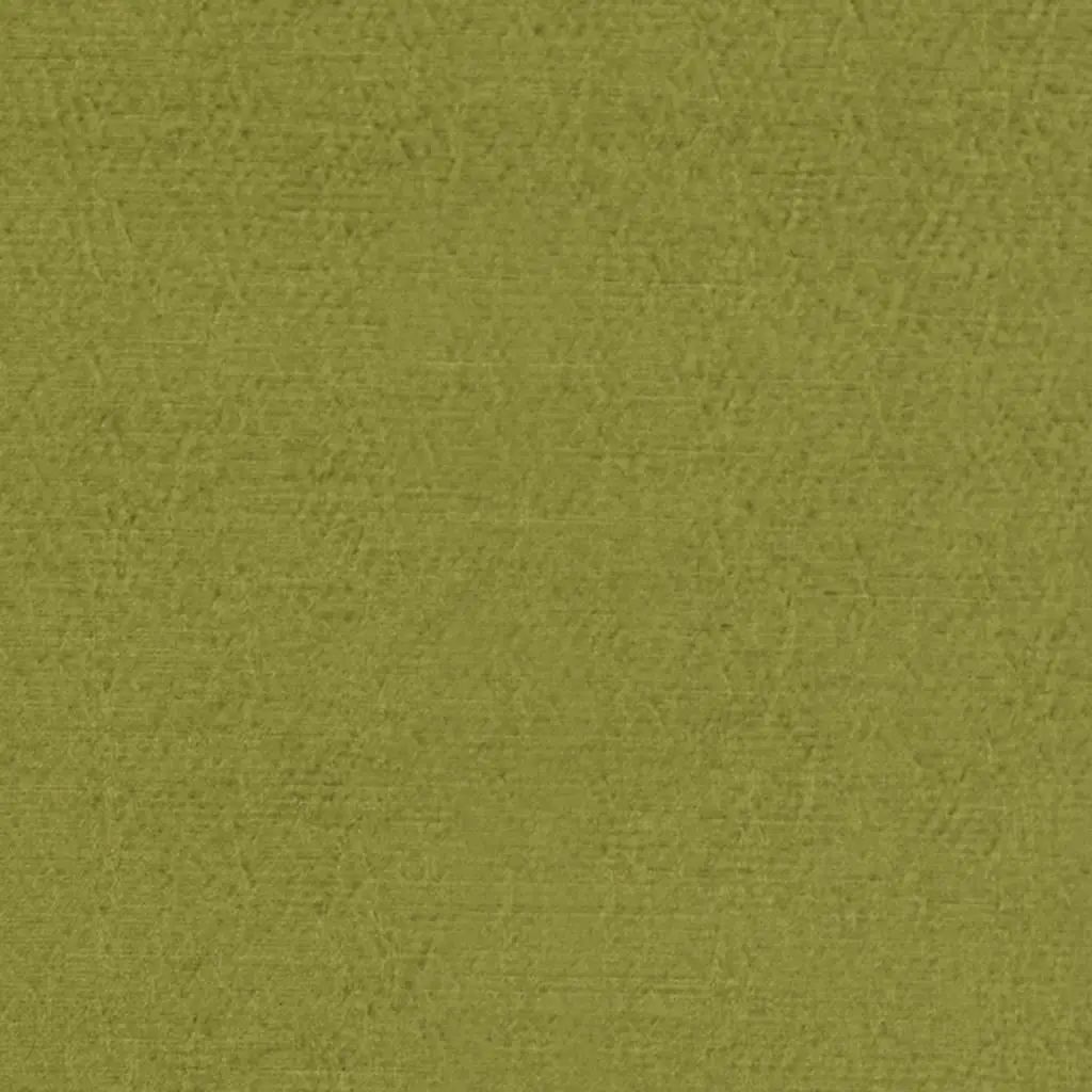 Designers Guild Anshu 41 Fabric FDG2896-41