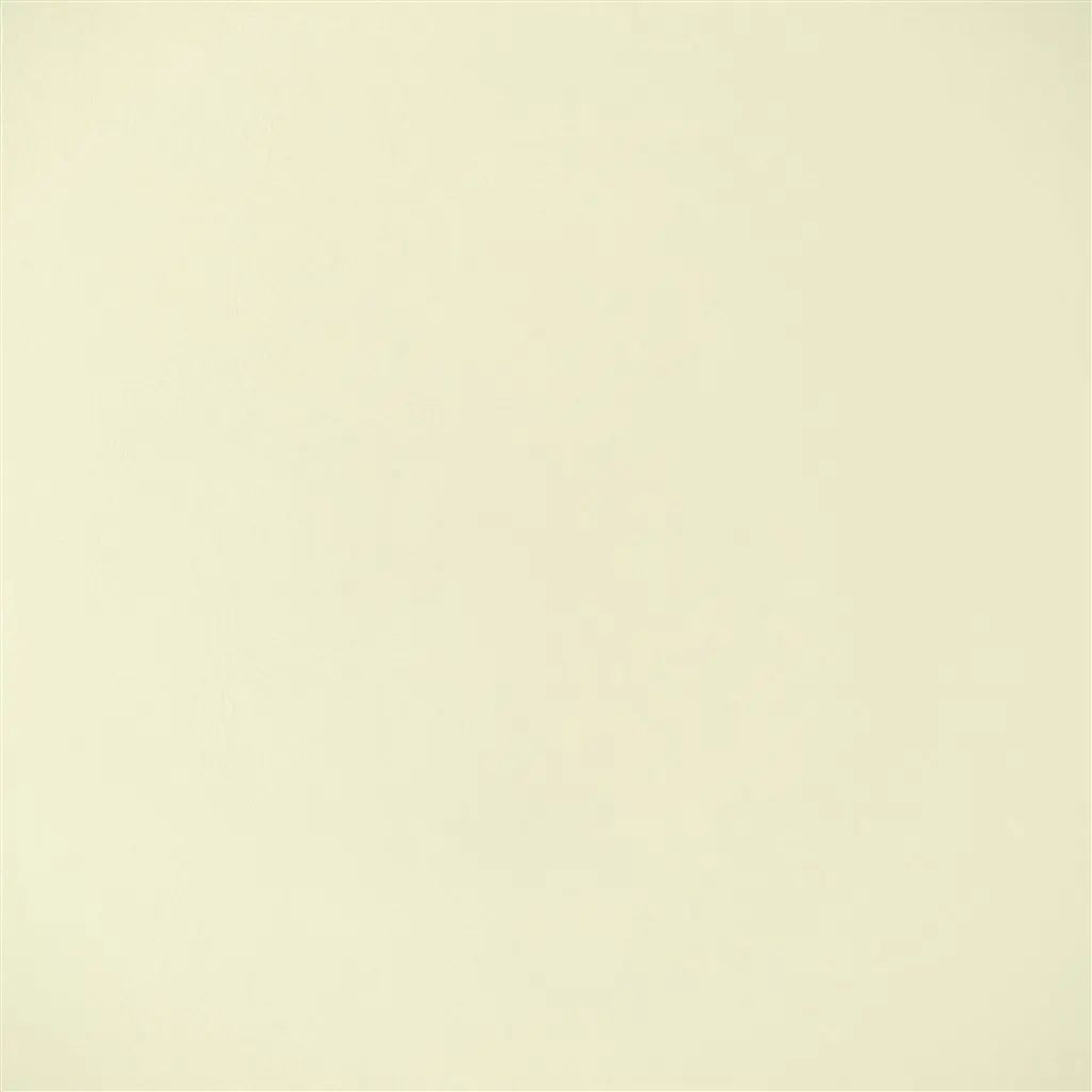 Designers Guild Matara Lucida 1 Fabric FDG2889-01