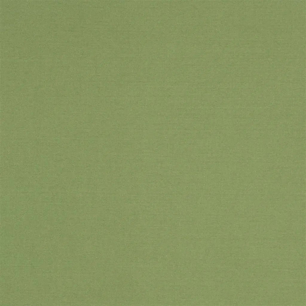 Designers Guild Aviano 20 Fabric F1911-20