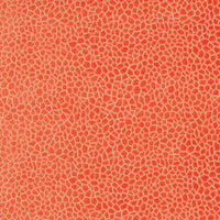 Matthew Williamson Kairi 6 Fabric F6632-06