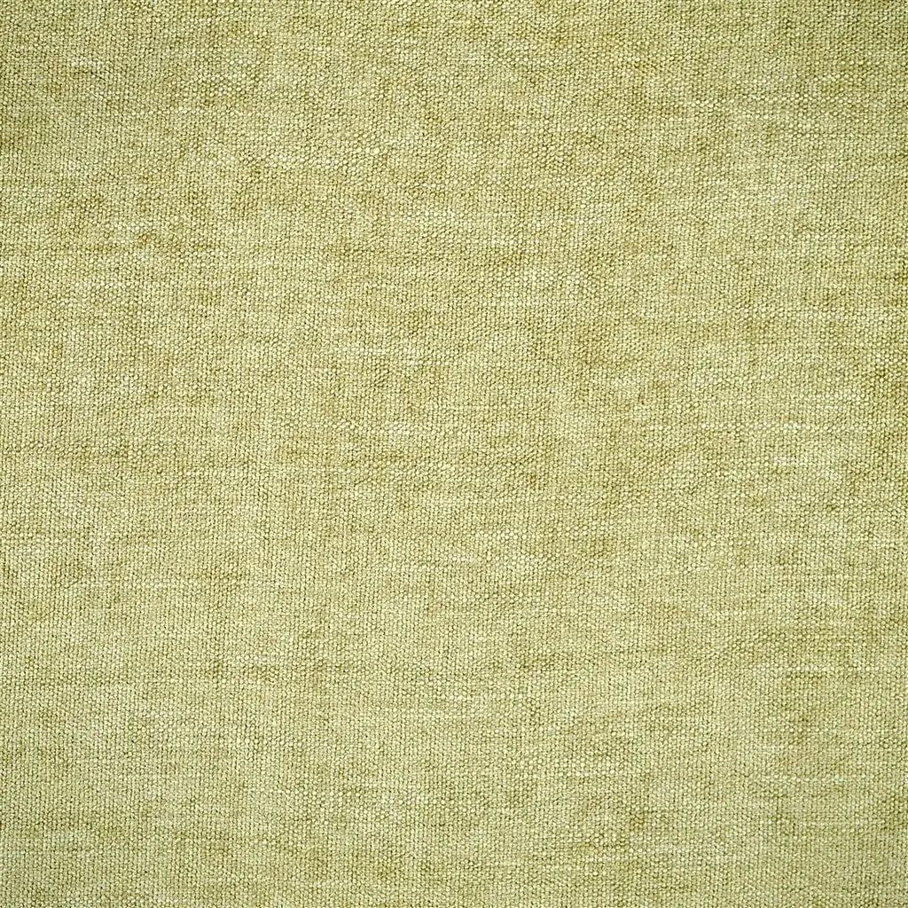 Designers Guild Canezza  21 Fabric FDG2703-21