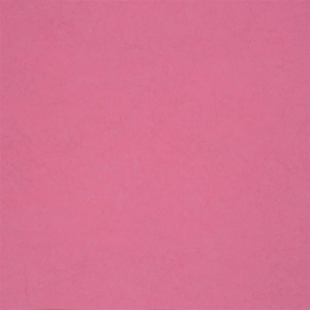 Designers Guild Ernani  41 Wallpaper P502-41