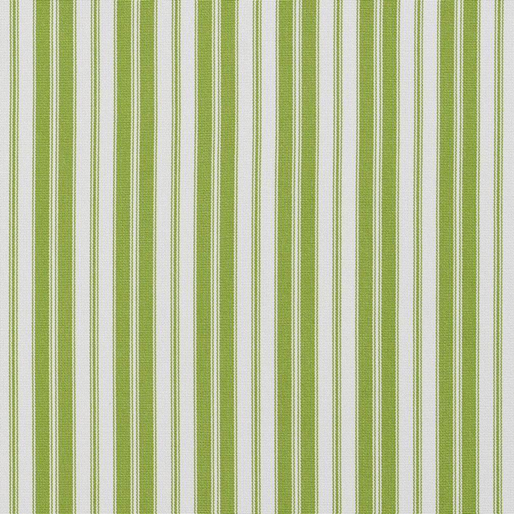 Charlotte Lime Classic Fabric Sample 1294