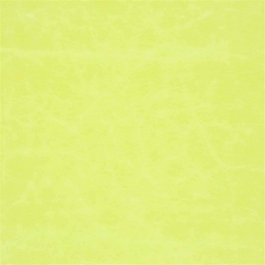 Designers Guild Arizona 25 Fabric F1935-25