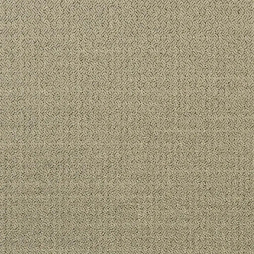 Designers Guild Ellon 5 Fabric F1738-05