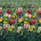 Designers Guild Tapestry Flower Panel  1 Wallpaper PDG1153-01
