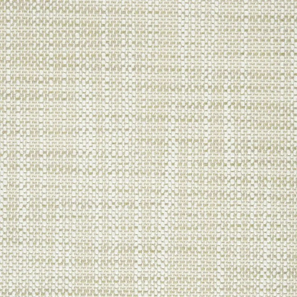 Designers Guild Iona 2 Fabric F1989-02