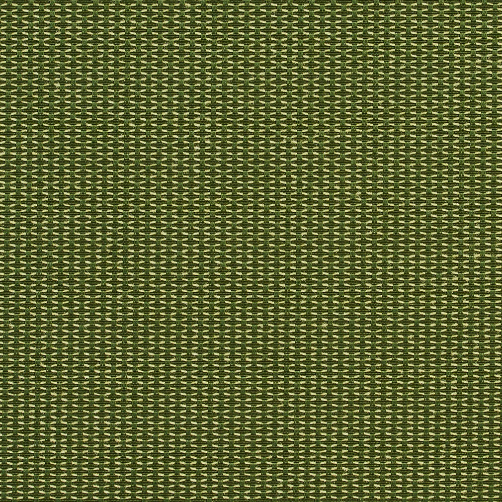 Charlotte Cactus Fabric Sample 1719