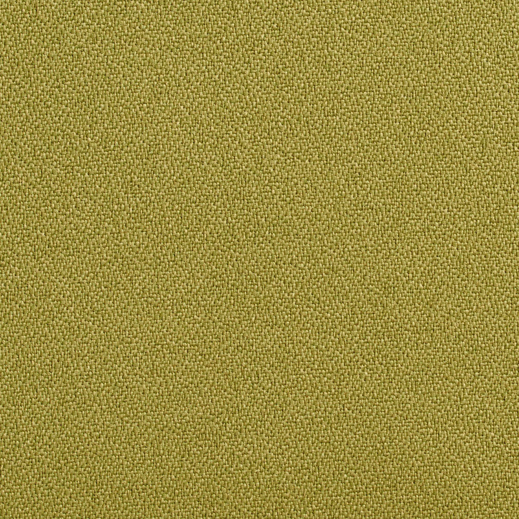 Charlotte Aloe Fabric Sample 1763
