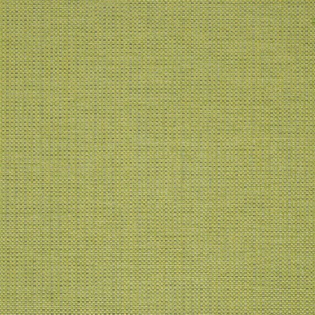 Designers Guild Morvern   16 Fabric F2019-16