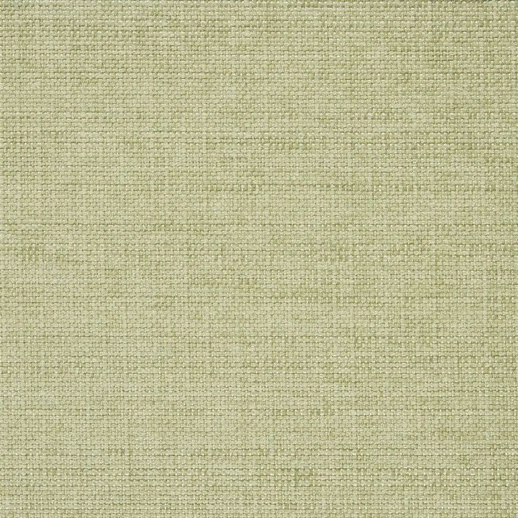 Designers Guild Auskerry 8 Fabric F2021-08
