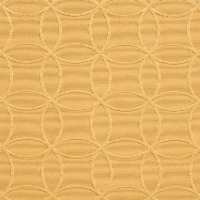 Charlotte  Fabric Sample 20610-09